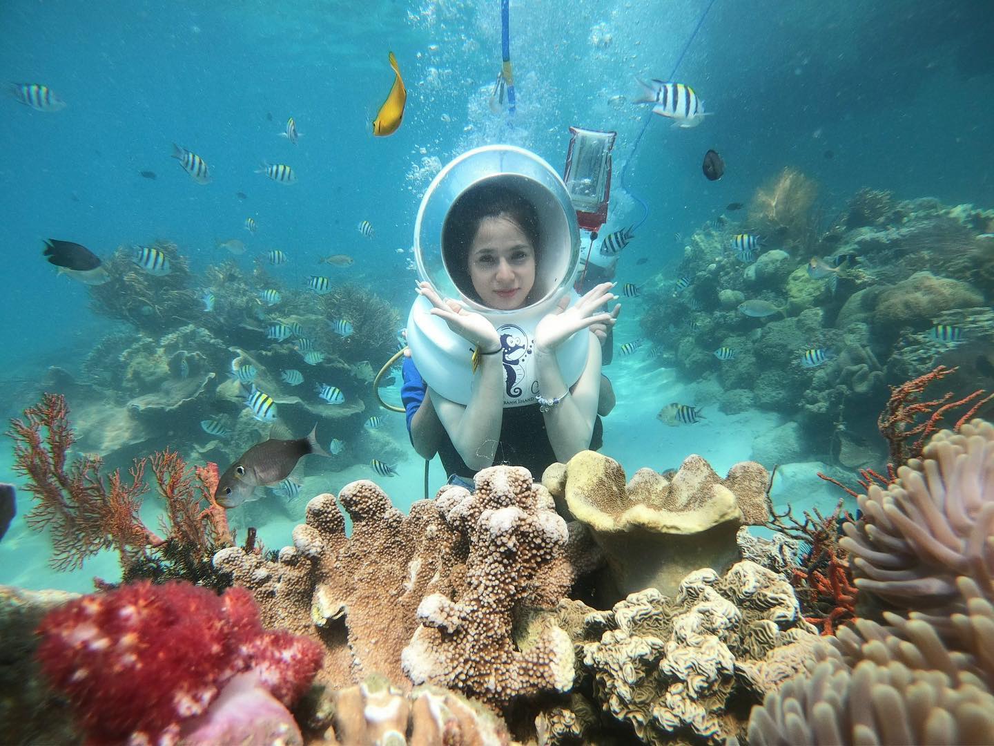 Top 10 Điểm Lặn Biển Nha Trang Đẹp Nhất 2026 - Cẩm Nang A-Z